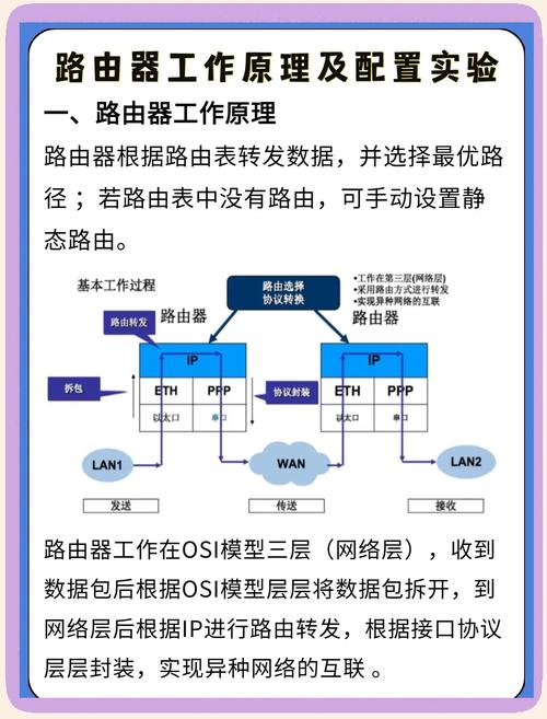 TP-Link路由器数据传输效率提升指南：设置、位置与频段全解析