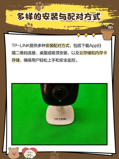 用TP-Link摄像头记录户外活动，畅享别样快乐体验